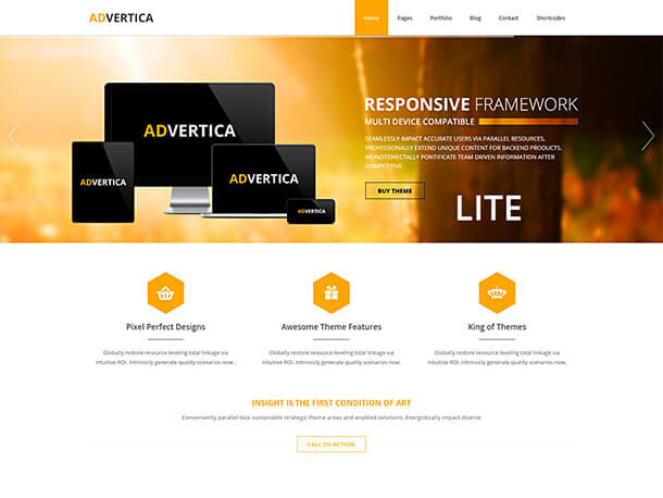 Advertica-Lite
