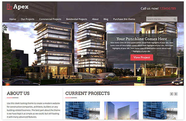 apex-wordpress-theme