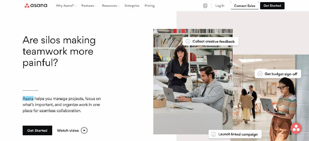 Asana.overview