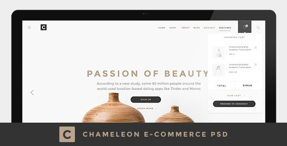 best-ecommerce-psd-templates-1