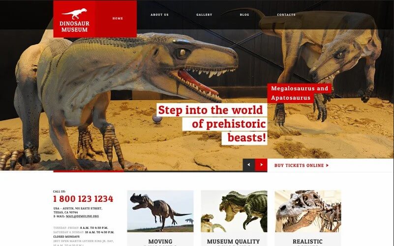 Dinosaur Museum 1
