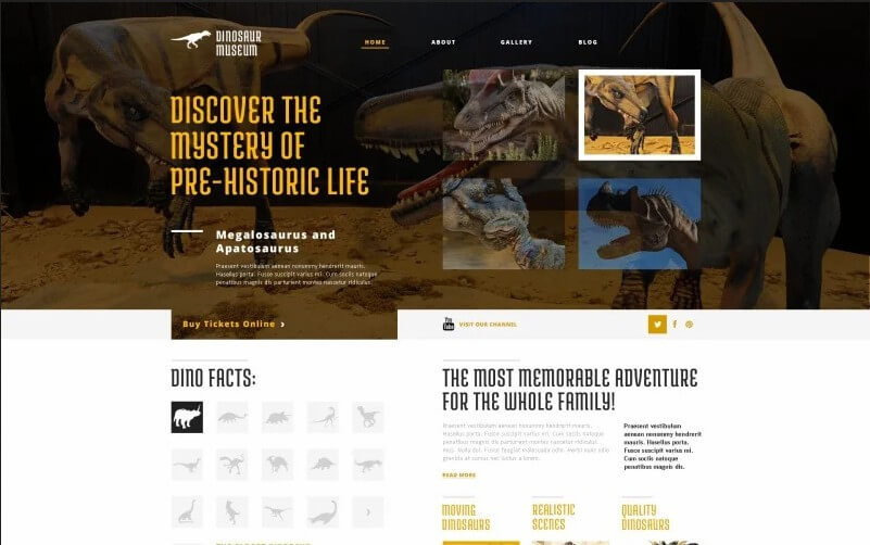 Dinosaur Museum