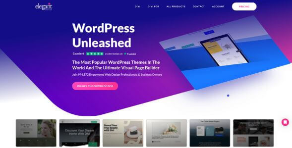 Divi WordPress theme