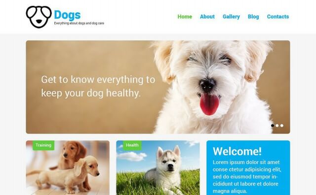 dog-responsive-wordpress-theme-3