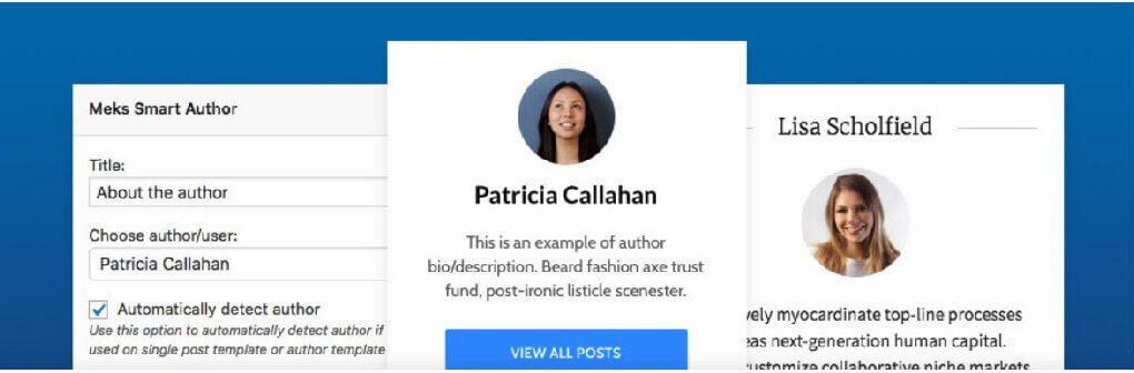 Meks Smart Author Widget