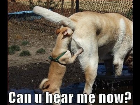 most-funny-picture-3