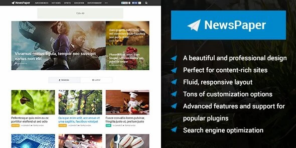 NewsPaper WordPress Theme