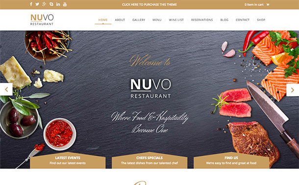 Nuvo WordPress Theme1