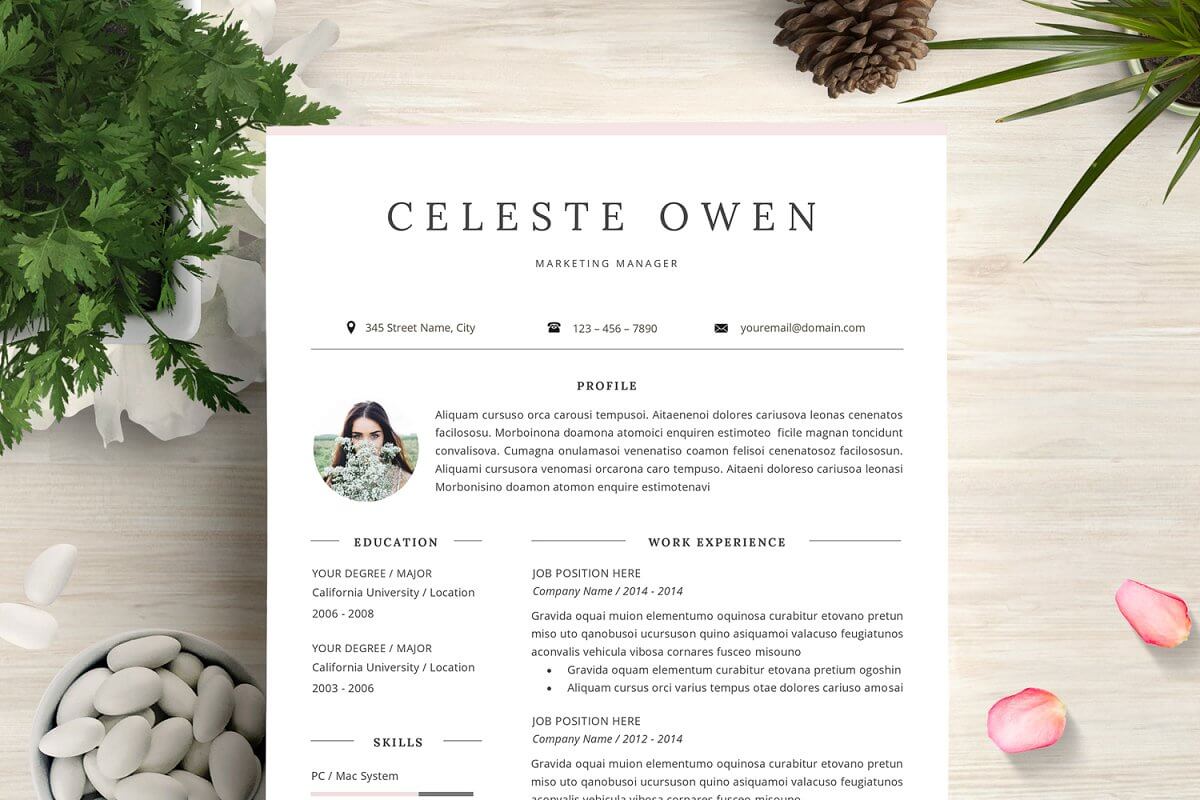 Professional Resume Template