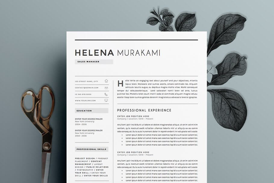 Resume Template 4 pages