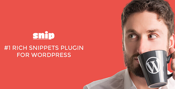 Rich Snippets WordPress Plugin