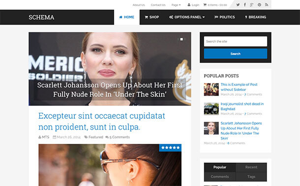 Schema WordPress Theme