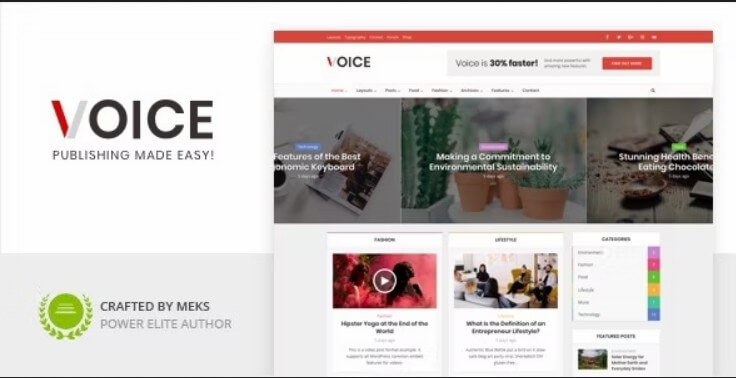 Voice
