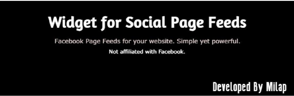 Widget for Social Page Feeds