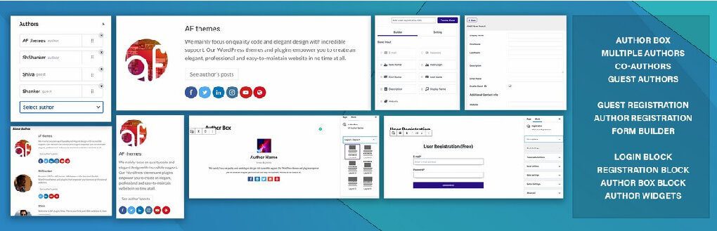 WP Post Author