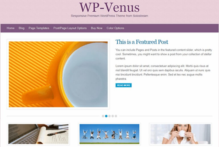 WP Venus